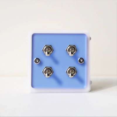 Vintage-style light switch