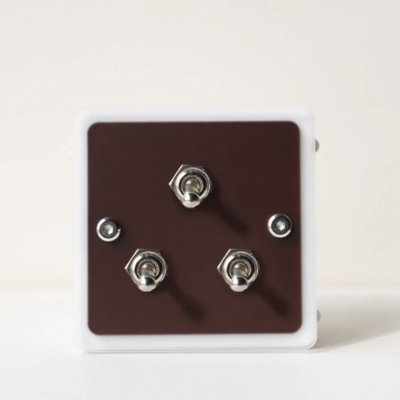 Vintage-style light switch