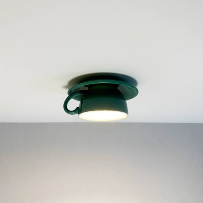 LED Ceiling Light