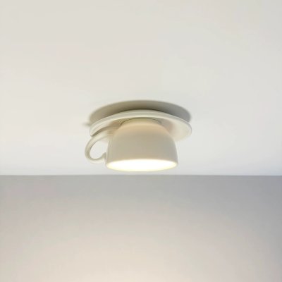 LED Ceiling Light