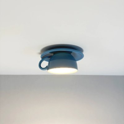 LED Ceiling Light