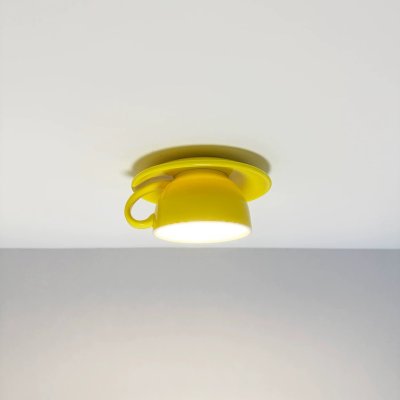 LED Ceiling Light