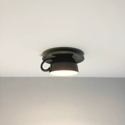 LED Ceiling Light