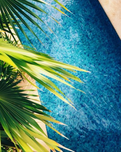 Y25V02 Coral Wave™Pool Mosaic Tiles