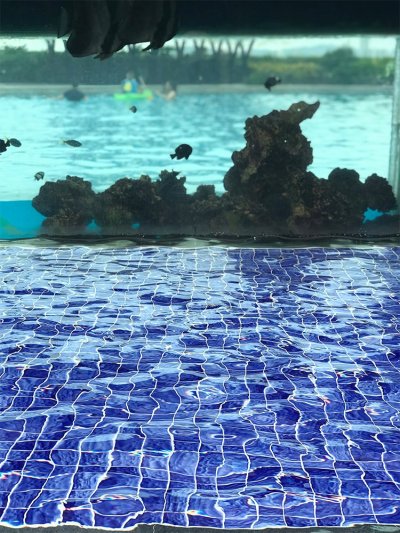 Y48603 Reef Series™ Pool Mosaic Tiles