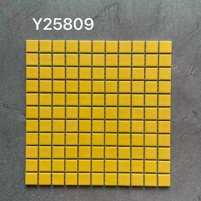 Y25809 Small Square Mosaic™
