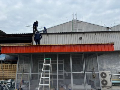 หยางจินหลุน