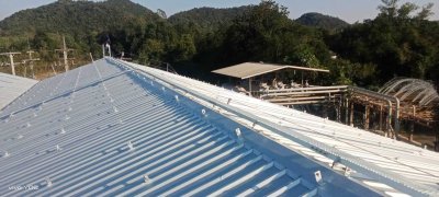 หยางจินหลุน