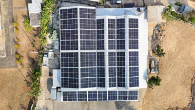 หยางจินหลุน