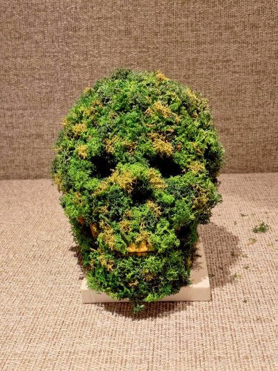 Moss skeleton