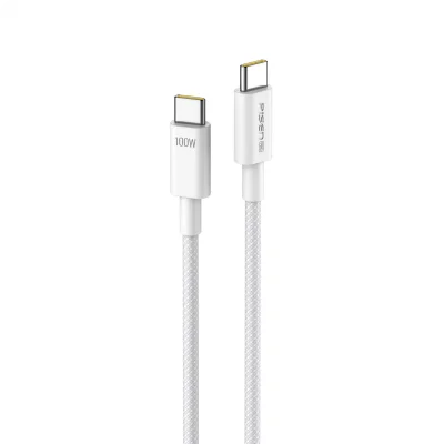 Vivid Series Type-C to Type-C 100W Data charging Cable 2M