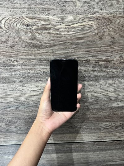 Used iPhone 12 Pro 256GB Pacific Blue