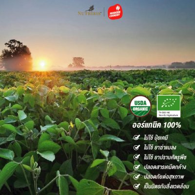 NUTRIRIS Organic Soybean (ถั่วเหลือง)