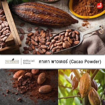 Cacao Powder (คาเคา พาวเดอร์) ผงคาเคา