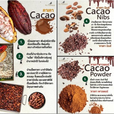 cacao powder 