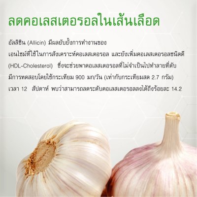 Garlic Extract