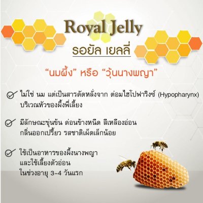 Royal Jelly