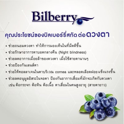 บิลเบอร์รี่ พลัส