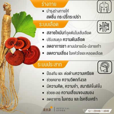 โสมเกาหลีสกัด ใบแปะก๊วยสกัด เห็ดหลินจือสกัด