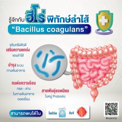 โพรไบโอติกส์