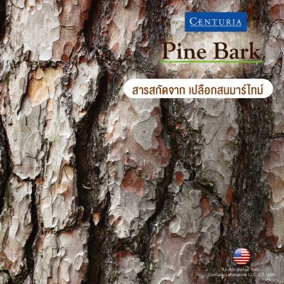 Pine Bark Extract