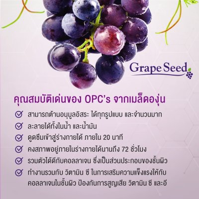 Centuria สารสกัดจากเมล็ดองุ่น (Grape Seed)