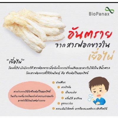 อันตรายจากสารฟอกขาวใน เยื่อไผ่ rawfood เยื่อไผ่ (Dried Bamboo Mushroom)