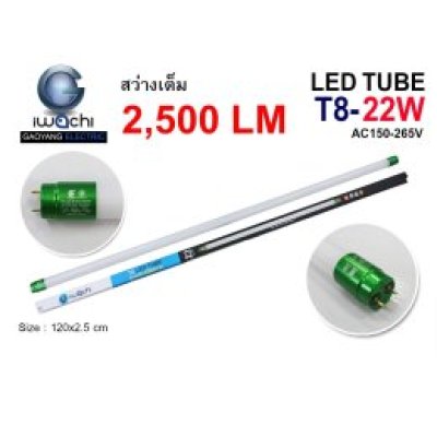 IWC-LED Neon Tubes 9W-40W (Cool White)