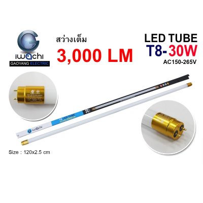 IWC-LED Neon Tubes 9W-40W