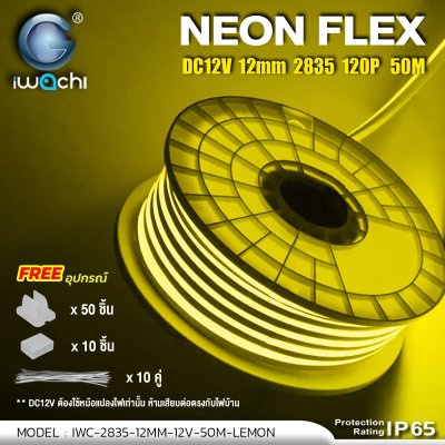 ไฟท่อขุ่น 12V 50M 12x6mm IWACHI