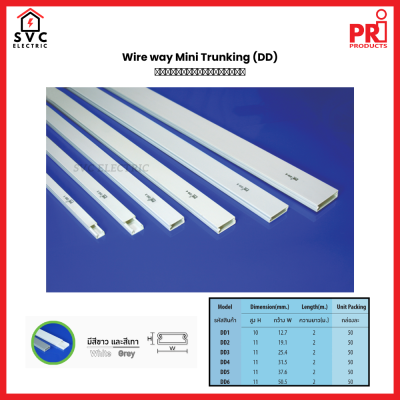 รางเก็บสายไฟ Wire Way Mini Trunking จาก PRI (Type DD)