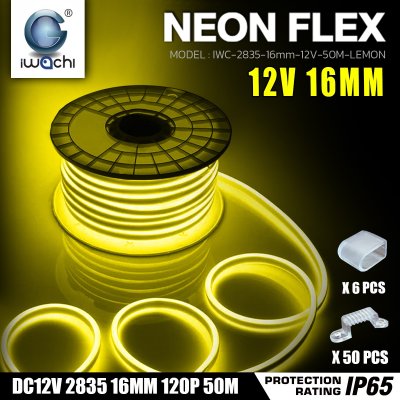 ไฟท่อขุ่น 12V 50M 16x8mm IWACHI