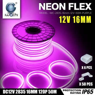 ไฟท่อขุ่น 12V 50M 16x8mm IWACHI