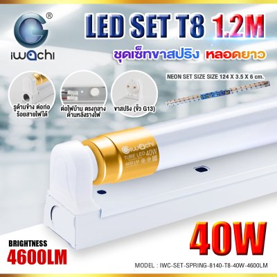 IWACHI ชุดเซ็ทหลอดนีออน T8 ขาสปริง