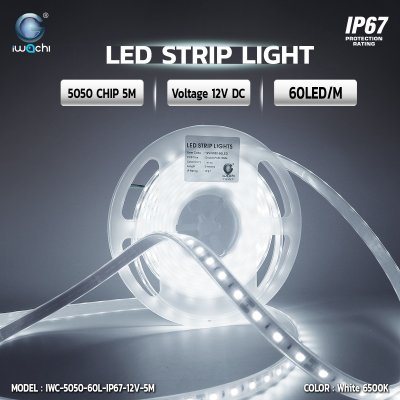 ไฟริบบิ้น LED 5050 IWACHI 12V 5M 60 L/เมตร IP20 แสงขาว / Warm White / สีต่างๆ