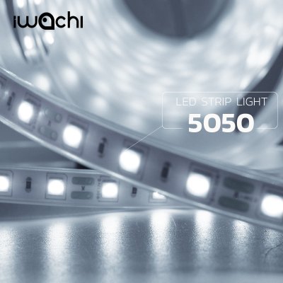 ไฟริบบิ้น LED 5050 IWACHI 12V 5M 60 L/เมตร IP20 แสงขาว / Warm White / สีต่างๆ
