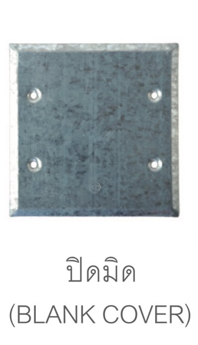 F.S.Box Cover 2"x4"Branded SC