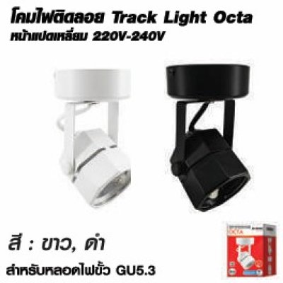 Shining Track Light Fixture