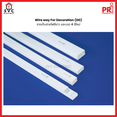 รางเก็บสายไฟ Wire Way จาก PRI (Type DD)