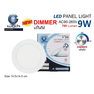IWC Recessed Ceiling Light with Dimmer Control