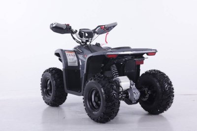 รถ ATV Newtron