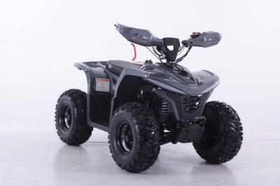 รถ ATV Newtron