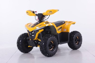รถ ATV Newtron