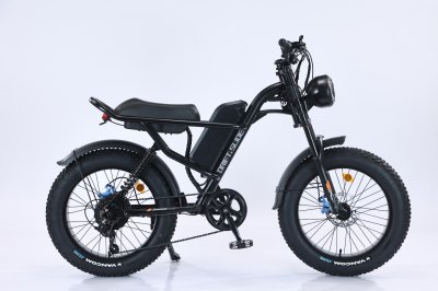 Ebike_sports_leisure-fat tire
