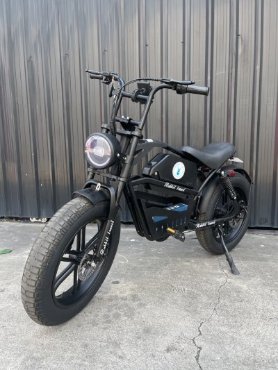 GP_rabbit_travel_fat_tire_20inch_wheel_e_bike_black