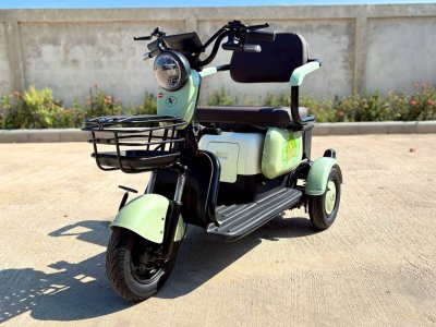 Kedar N8 รถสามล้อไฟฟ้า 600W กม./ชม. 36V20Ah | เหมาะผู้สูงอายุ ฿17,900