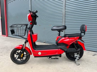 VizhT_1_2_wheel_e_tricycle_red