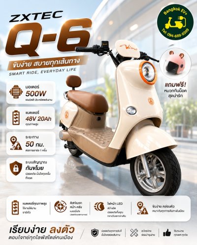 E Bicycle ZXTEC Q-6