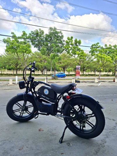 travel_rabbit_fat_tire_ebike