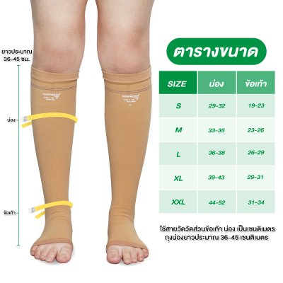 ถุงน่องสั้น AD ถุงน่องสั้น AD